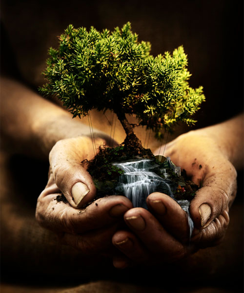 Hombre y Naturaleza